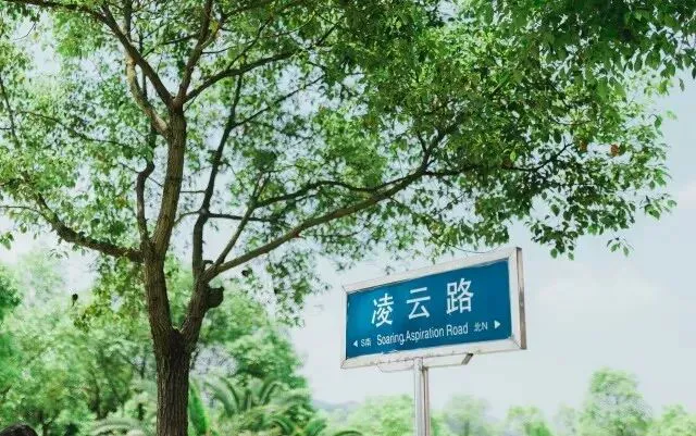 如何制定智能篮球训练计划_0