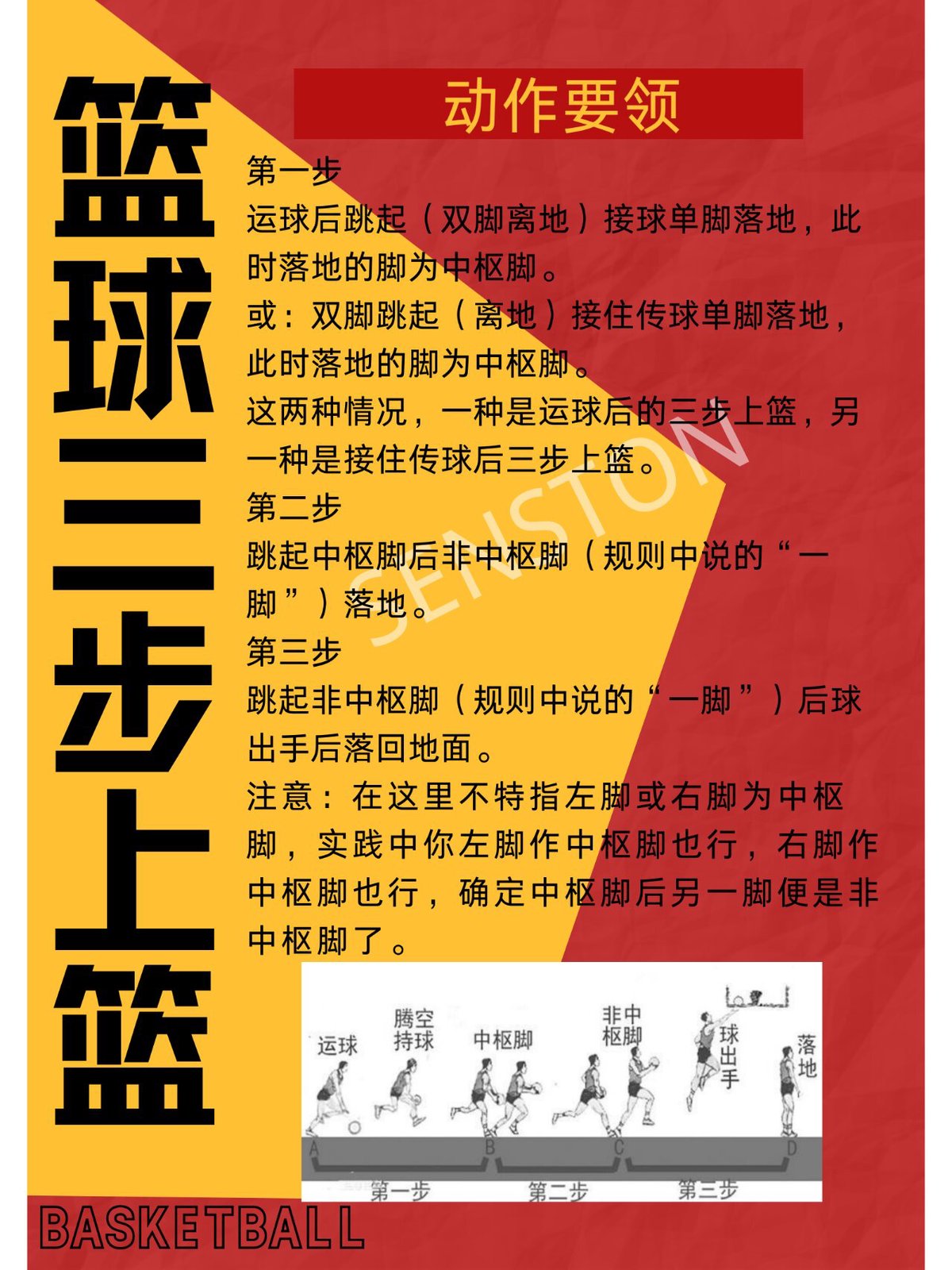 篮球的基本功训练视频教学